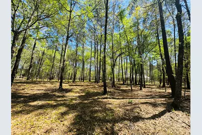 00 Creekbend Drive, Plantersville, TX 77363 - Photo 4