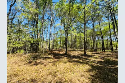 00 Creekbend Drive, Plantersville, TX 77363 - Photo 2