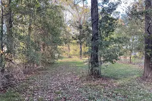 23701 Vick Dr / 22401 Russell Dr, New Caney, TX 77357 - Photo 12
