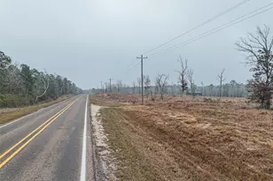 Tbd Fm-3152, Livingston, TX 77351 - Photo 1