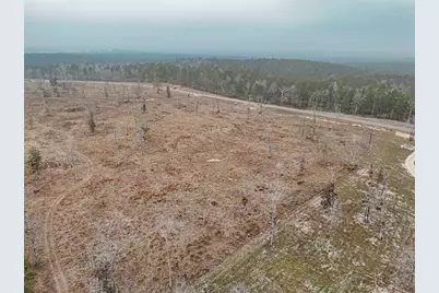 Tbd Fm-3152, Livingston, TX 77351 - Photo 4