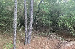 Tbd Peach Dr, Huntsville, TX 77320 - Photo 4