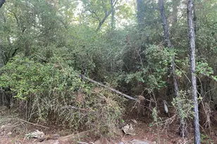 Tbd Peach Dr, Huntsville, TX 77320 - Photo 2