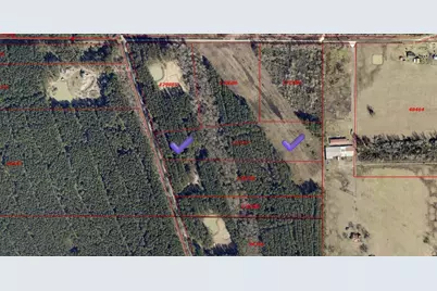 401 Pelican Road, Shepherd, TX 77371 - Photo 6