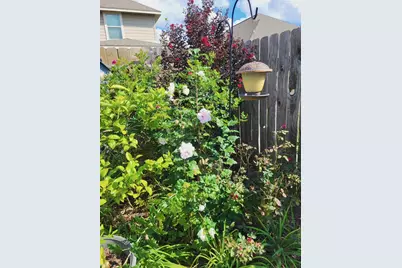 21235 Lily Springs Drive, Porter, TX 77365 - Photo 38