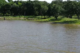 Tbd Lot 30 Pr 5882A, Jewett, TX 75846 - Photo 1