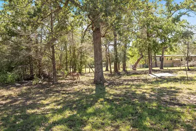 716 Sweet Gum Lane, Somerville, TX 77879 - Photo 20