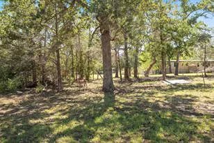 716 Sweet Gum Ln, Somerville, TX 77879 - Photo 20