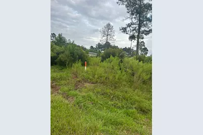 53 Road 5248, Cleveland, TX 77327 - Photo 2