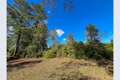 T-2 Fm 787, Votaw, TX 77376 - Photo 1