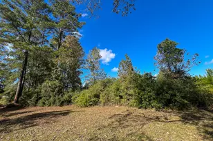 T-2 Fm 787, Votaw, TX 77376 - Photo 1