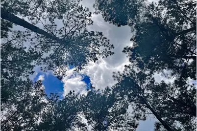 Lot 2&3 Remington Road, Huntsville, TX 77340 - Photo 8