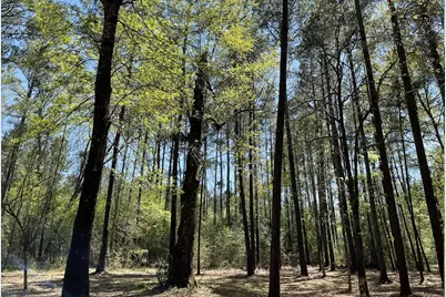 Lot 2&3 Remington Road, Huntsville, TX 77340 - Photo 6