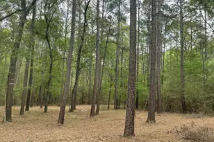 Lot 2 3 Remington Rd, Huntsville, TX 77340 - Photo 1