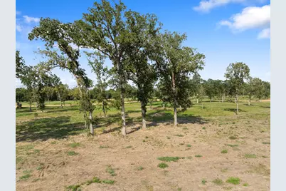 Lot 39 Island View, Livingston, TX 77351 - Photo 4