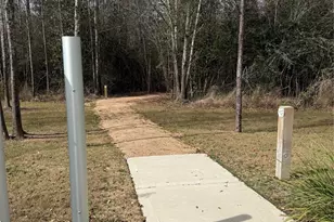 29003 Spicewood Vly Dr, New Caney, TX 77357 - Photo 40