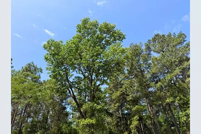 5 Camp Ruby Road, Livingston, TX 77351 - Photo 8