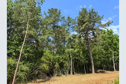 5 Camp Ruby Road, Livingston, TX 77351 - Photo 6