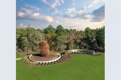 12661 Big Sagebrush Drive, Conroe, TX 77302 - Photo 10