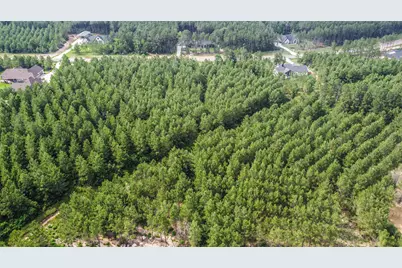 15917 Ridge Oak Road, Willis, TX 77378 - Photo 8