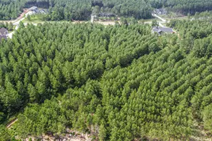 15917 Ridge Oak Rd, Willis, TX 77378 - Photo 8