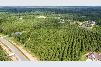 15917 Ridge Oak Road, Willis, TX 77378 - Photo 12