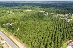 15917 Ridge Oak Rd, Willis, TX 77378 - Photo 12