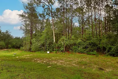 4809 Red Coyote Lane, Montgomery, TX 77316 - Photo 8
