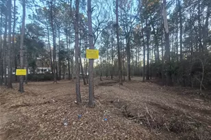 8358 Soapberry Ln, Plantersville, TX 77363 - Photo 1