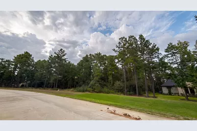 7241 Red Oak Grove Road, Montgomery, TX 77316 - Photo 4