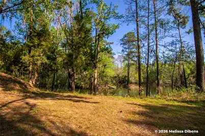28 Rail Spur, Cleveland, TX 77327 - Photo 28