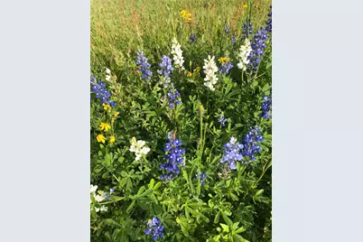 35494 Betka Road, Hempstead, TX 77445 - Photo 36