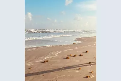 25922 Flamingo Drive, Galveston, TX 77554 - Photo 2