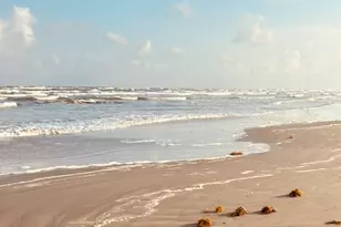 25922 Flamingo Dr, Galveston, TX 77554 - Photo 2