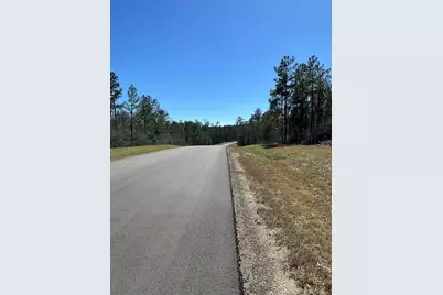 341 Exploration Road, Willis, TX 77378 - Photo 6