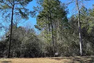 341 Exploration Rd, Willis, TX 77378 - Photo 1