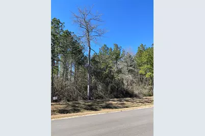 341 Exploration Road, Willis, TX 77378 - Photo 2