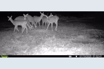 4450 Fm 1746, Woodville, TX 75979 - Photo 44