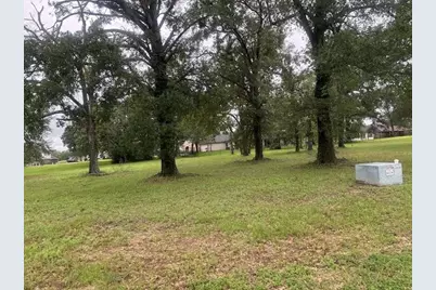 Lot 63 Birdie Drive, Hempstead, TX 77445 - Photo 4