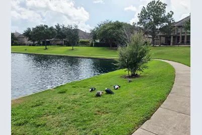 27419 Canyon Reach Dr, Katy, TX 77494 - Photo 20