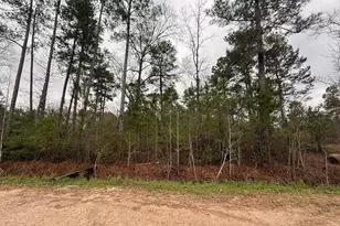 0 Shaffer Rd, Cleveland, TX 77327 - Photo 1