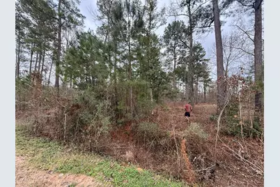 0 Shaffer Road, Cleveland, TX 77327 - Photo 6