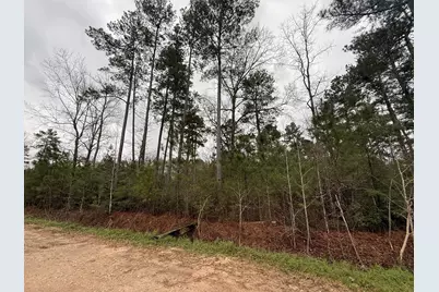 0 Shaffer Road, Cleveland, TX 77327 - Photo 2