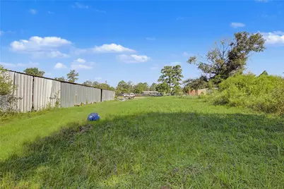 776 Yaupon Cove Drive, Onalaska, TX 77360 - Photo 8