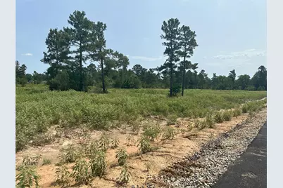 0 Crockett Road, Waller, TX 77484 - Photo 6