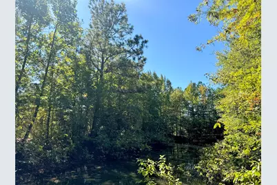 9596 State Highway 146 S, Livingston, TX 77351 - Photo 10