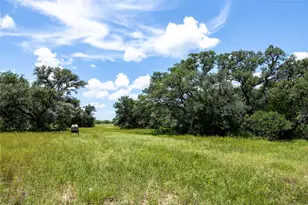 000 County Road 15Aa, Hallettsville, TX 77964 - Photo 8