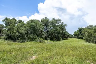 000 County Road 15Aa, Hallettsville, TX 77964 - Photo 6