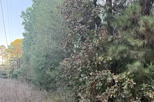 Lot 111-A Pioneer Trail, Livingston, TX 77351 - Photo 2