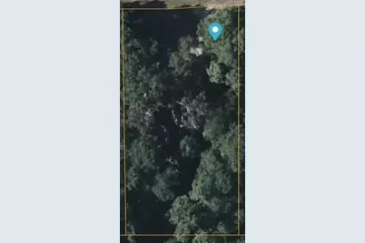 15636 Woodman Road, Conroe, TX 77306 - Photo 6